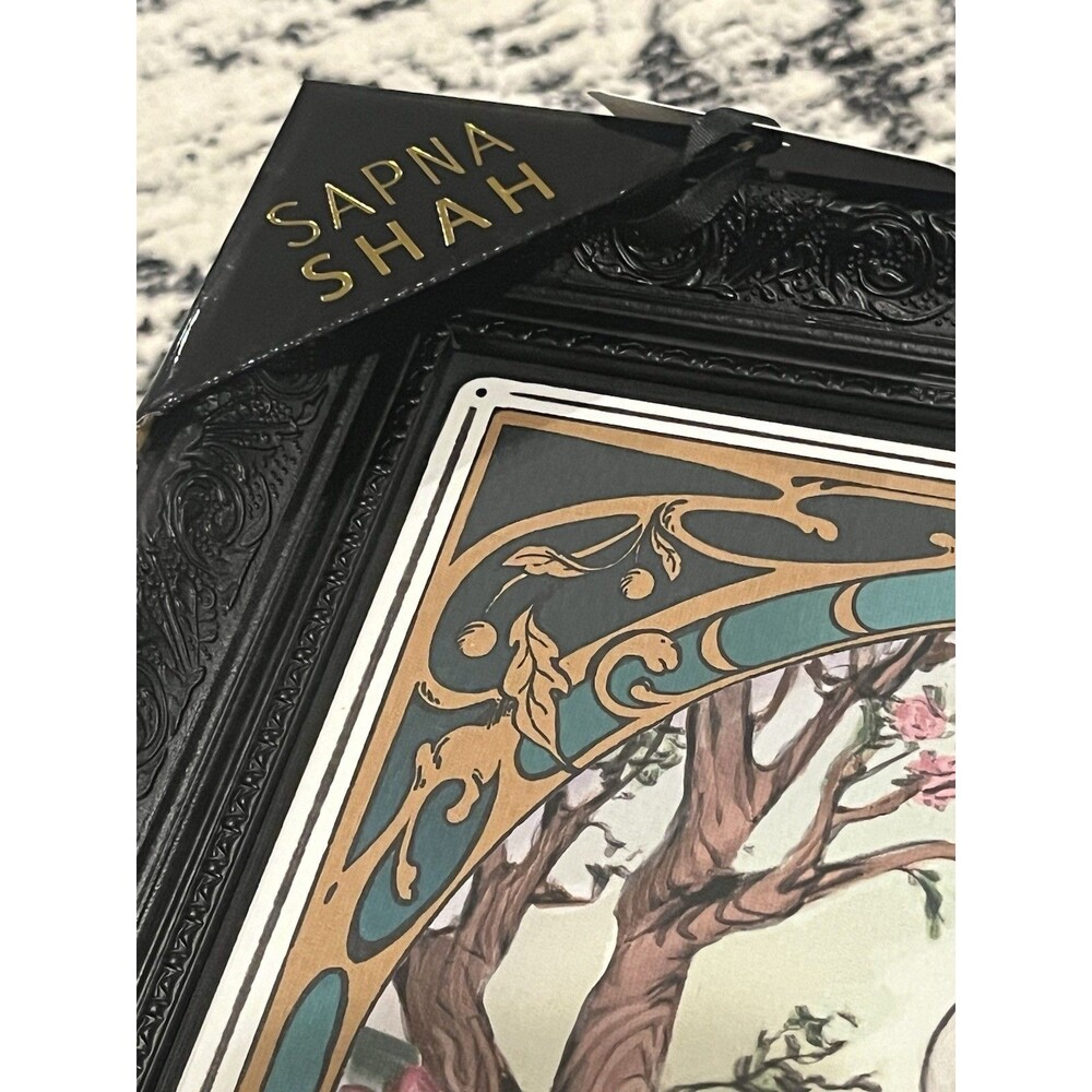 Sapna Shah The Reader Framed Art Skeleton Tarot picture Frame - New 18x12 - Picture 3 of 3